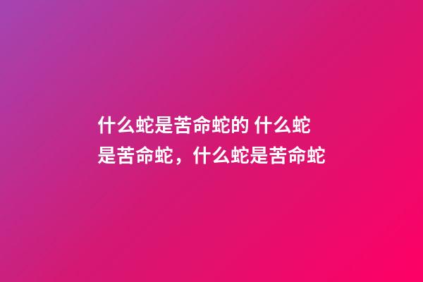 什么蛇是苦命蛇的 什么蛇是苦命蛇，什么蛇是苦命蛇-第1張-觀點-玄機派